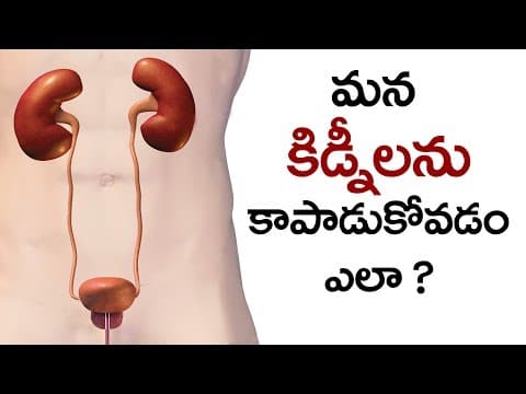 కిడ్నీలను ఎలా కాపాడుకోవాలి ? How to protect your kidney ?