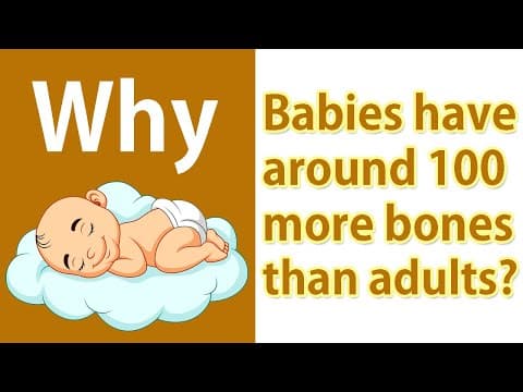 Why babies have more bones than adults