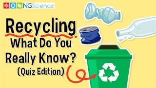 Recycling – What Do You Really Know?
