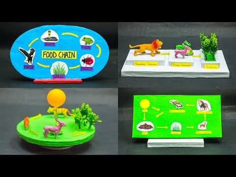 Food Chain Science Projects