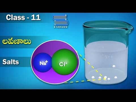 లవణాలు | Salts and Types of Salts | Chemical Equilibrium