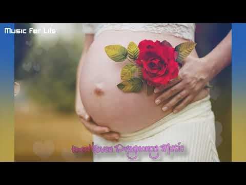 Pregnancy Music | Soothing, relaxing and peaceful for Babies Brain Development | Relaxing sounds.