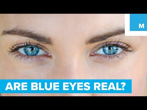 Are Blue Eyes Really Blue? - Sharp Science