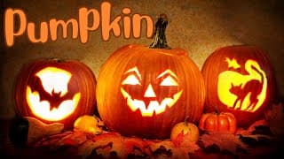 Pumpkins Everything you need to know