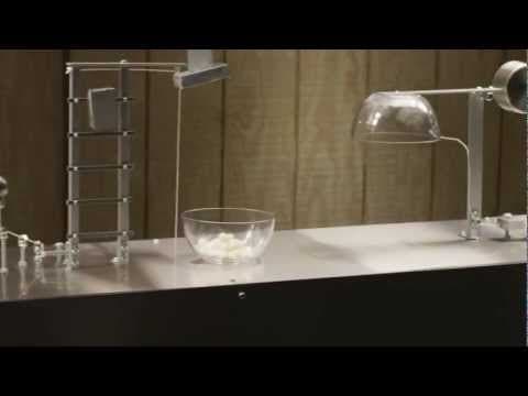 Amazing Rube Goldberg Machines