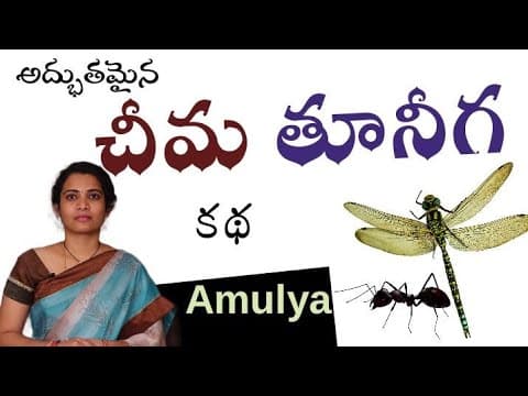 Dragon Fly & Ant || Amulya