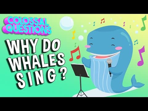 How Did The Olympics Start? | COLOSSAL QUESTIONS