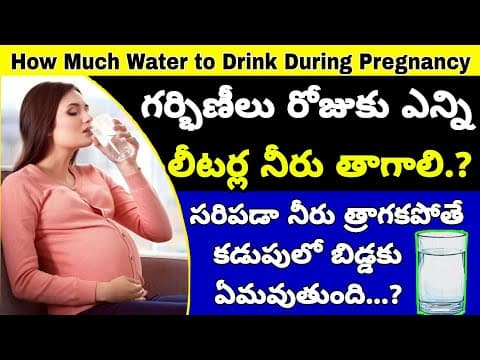 గర్భిణీ స్త్రీలు రోజుకు ఎన్ని లీటర్ల మంచినీరు తీసుకోవాలి | How Much Water to Take During Pregnancy