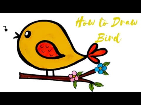 Bird drawing for kids