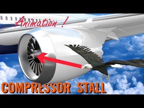 What makes bird strikes so dangerous