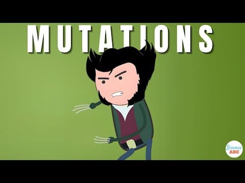 What are Mutations and what are the different types of Mutations