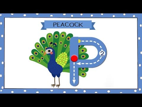 Words from letter p - words from alphabets - kids vocabulary words - how to write p