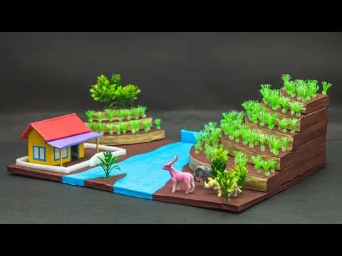 Terrace Farming Model | Science Projects