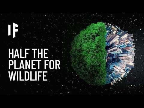 What If There Was Another Earth in Our Solar System?