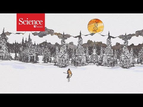 DNA tracks mysterious Denisovans to Chinese cave, just before modern humans showed up