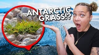How Grass Conquered The World |Even Antarctica.