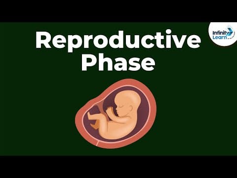Reaching adolescence - reproductive phase