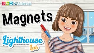 Lighthouse Lab – Magnets