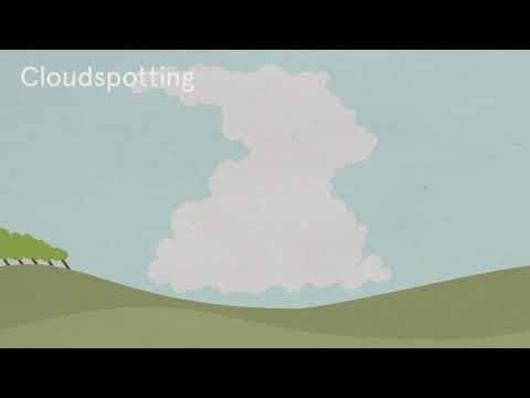 How to read water, wind, the sky, and trees to navigate