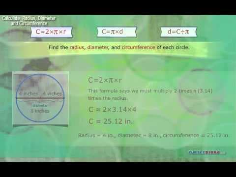How to Measure a Circle Radius Diameter & Circumference Math for Kids