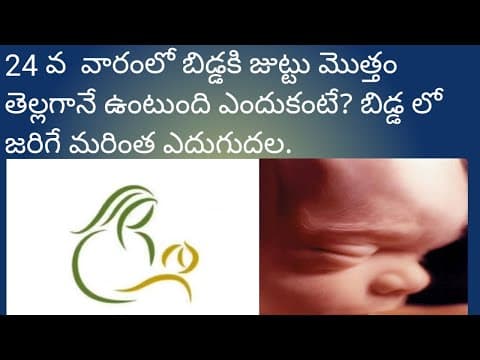 Twentyfour(24th) week pregnancy details in Telugu | Baby development | #Twentyfourweekpregnancy