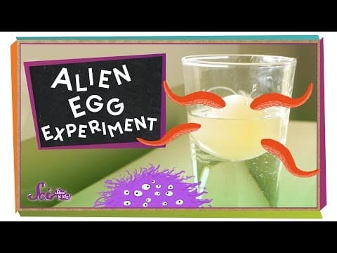 Alien Egg Experiment