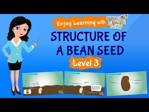 Structure of Seed & Parts of a Seed