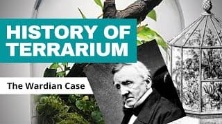 A Brief History of the Terrarium | The Wardian Case