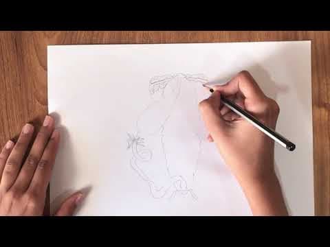 HOW TO DRAW COCKROACH DIGESTIVE SYSTEM