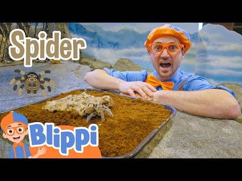 Blippi visits the zoo - learning animals for kids