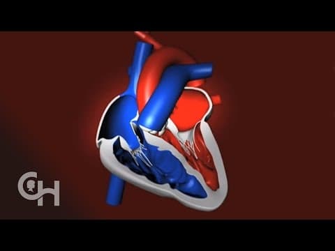 Heartbeat Animation