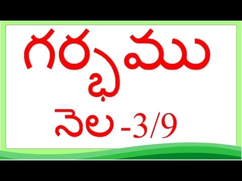 Pregnancy - telugu - month 3 - గర్భం నెల 3