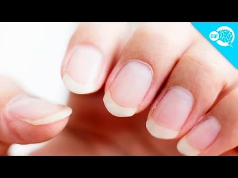 How Long Can Fingernails Grow? - YouTube