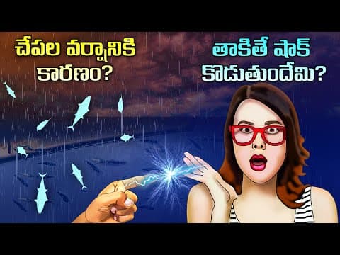 Top 50 Facts in Telugu | Fish rain reason | Why do we get shock when we touch | Telugu Facts