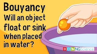 Bouyancy – Will an object float or sink when placed in water?