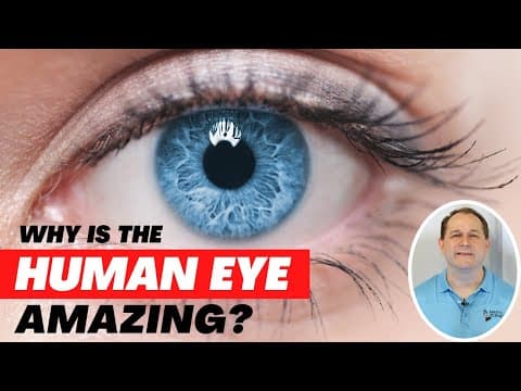Why is the Human Eye so Amazing