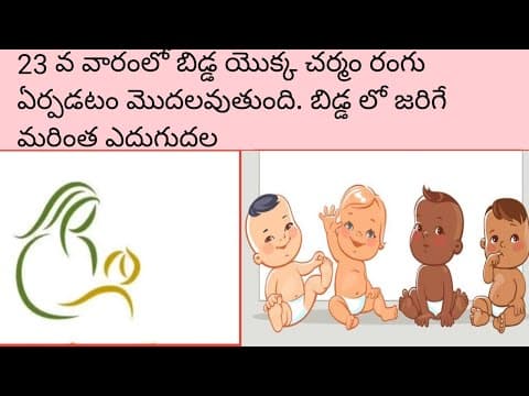 Twentythird(23rd) week pregnancy details in Telugu | Baby development | #Twentythirdweekpregnancy