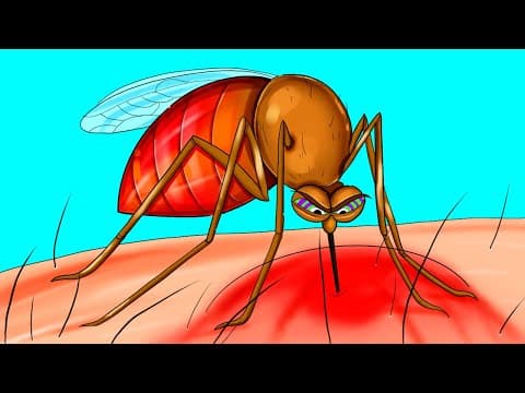 What Happens to Your Body When A Mosquito Bites You