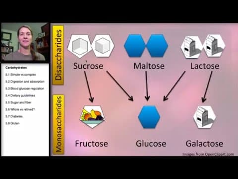 Carbohydrates: Simple and Complex