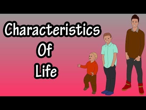 The 10 Ten Characteristics Of Human Life