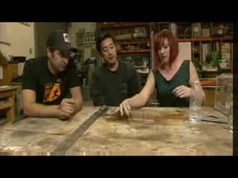 Invincible Cockroaches