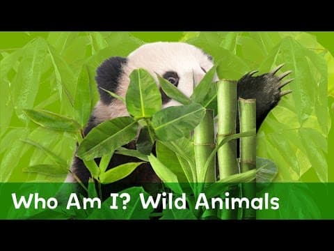 Can You Guess Which Wild Animals are Hiding?