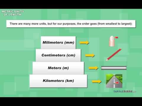 Types of Metric Units of Length Centimeter Meter Kilometer & More! Math for Kids