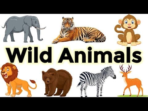 Wild Animals | Wild animals for kids | Wild animals name | Home based school