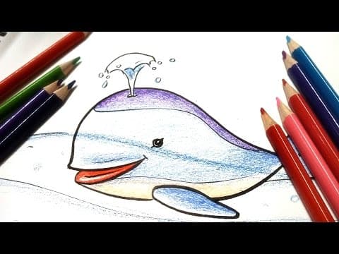 How to draw cute cartoon whale   -  Lesson 58