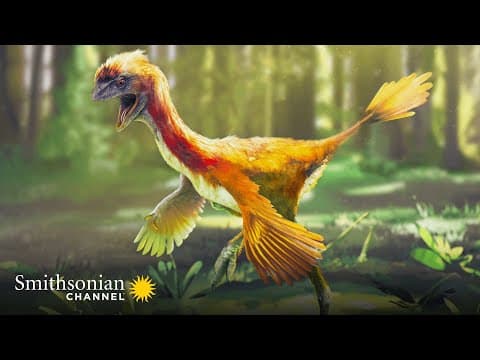 Prehistoric Dinosaur Bird Fossils Found in China Are Amazingly Detailed | Smithsonian Channel