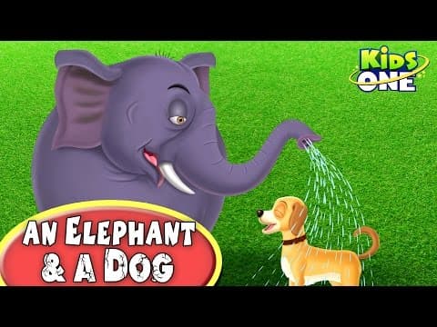 An Elephant and A Dog