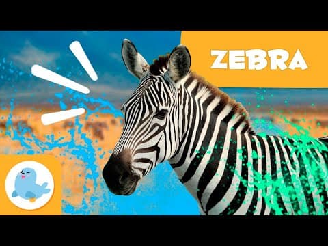 ZEBRAS 🦓 Animals for Kids 🍃 Episode 16