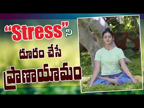 How To Do Meditation | Meditation In Telugu | Manthena Satyanarayana Raju Videos