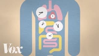 Late sleeper? Blame your genes.